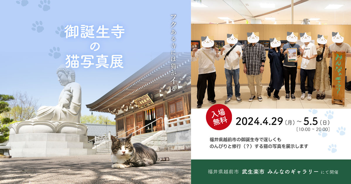 御誕生寺の猫写真展